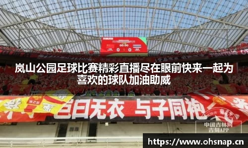 岚山公园足球比赛精彩直播尽在眼前快来一起为喜欢的球队加油助威